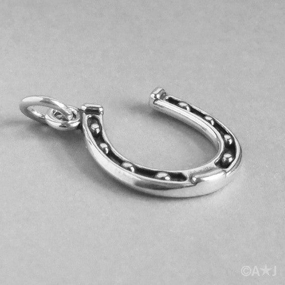 Horseshoe Charm