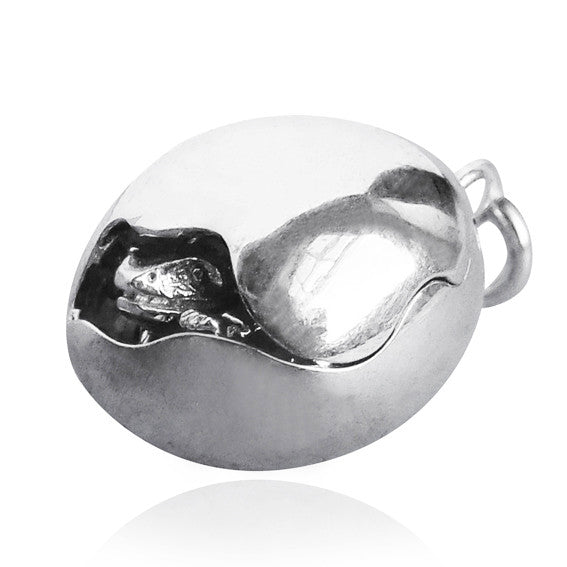 lizard hatching from egg charm