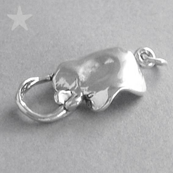 stingray charm