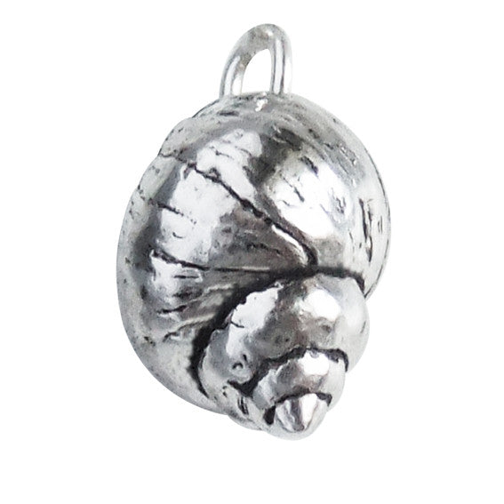 Winkle Sea Shell Charm