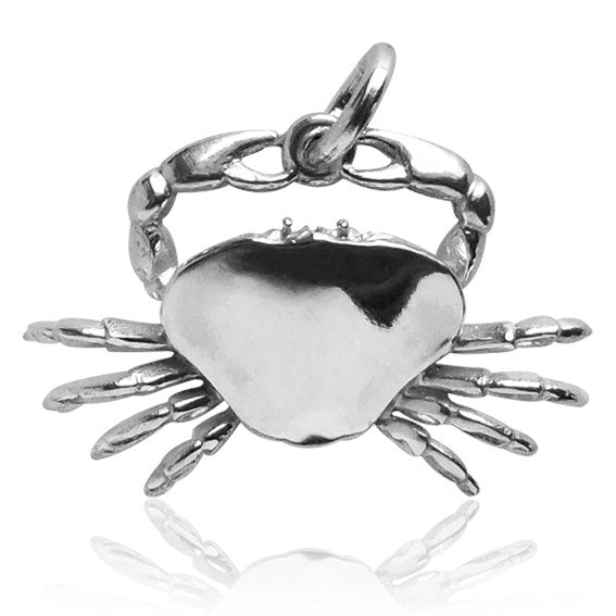 zodiac cancer the crab charm