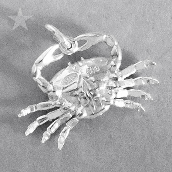zodiac cancer the crab charm