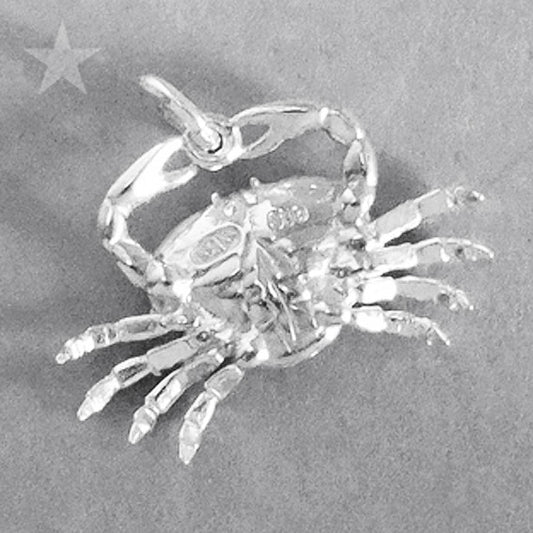 zodiac cancer the crab charm
