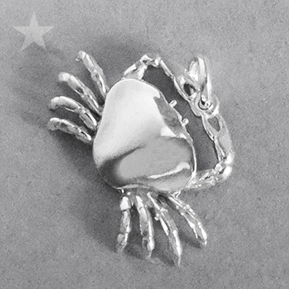 zodiac cancer the crab charm