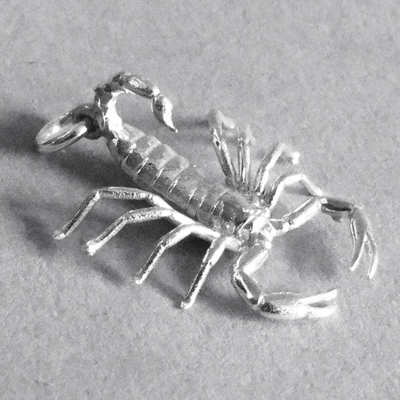 zodiac scorpio the scorpion charm
