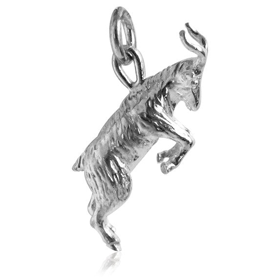 zodiac capricorn the goat charm