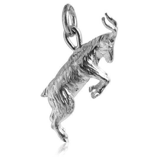 zodiac capricorn the goat charm