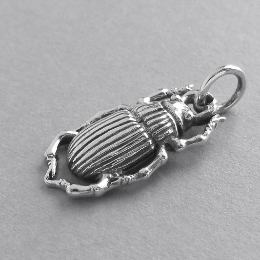 silver beetle insect charm