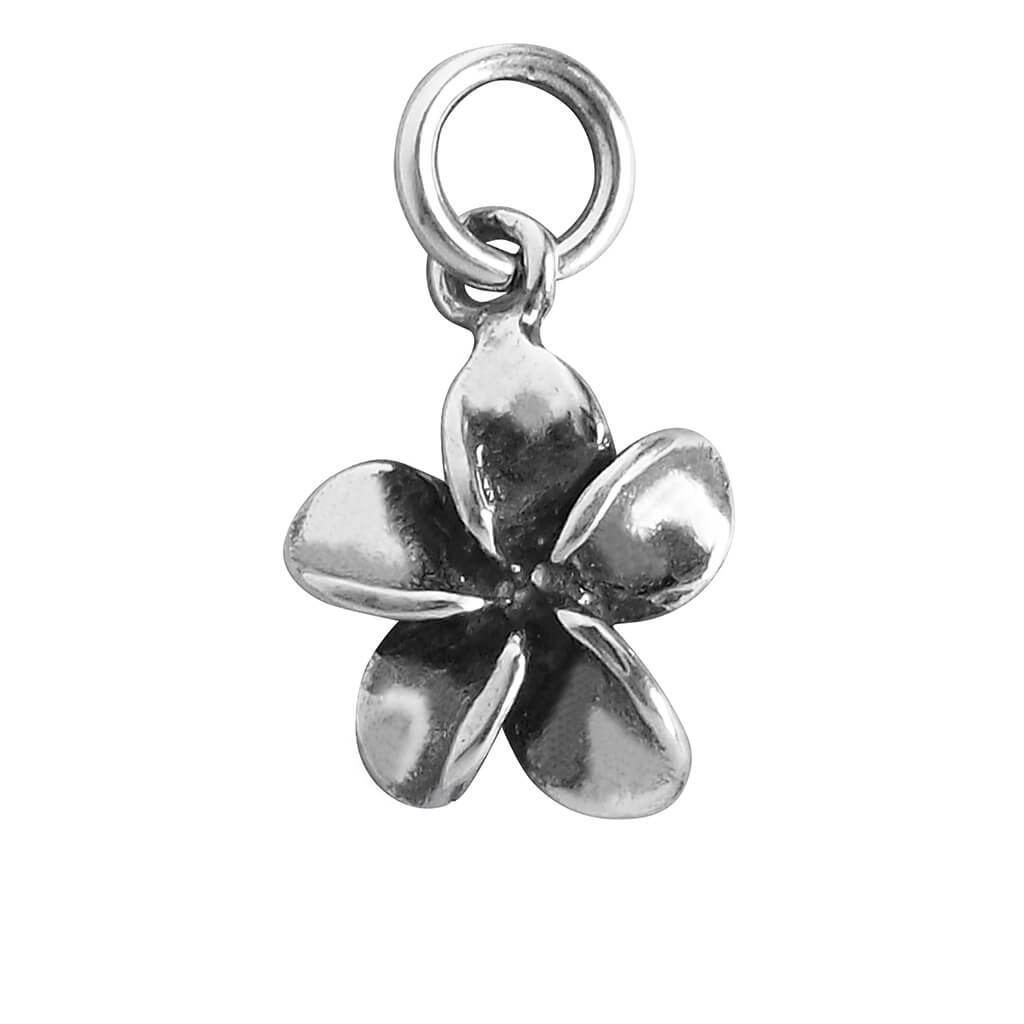 Frangipani plumeria flower charm on white background