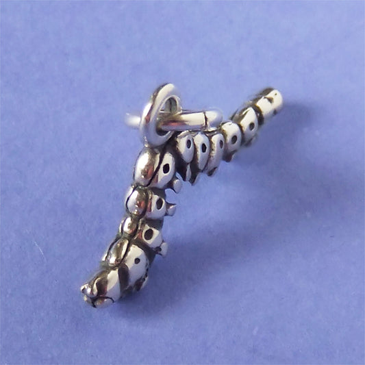 silver inch worm charm on purple background