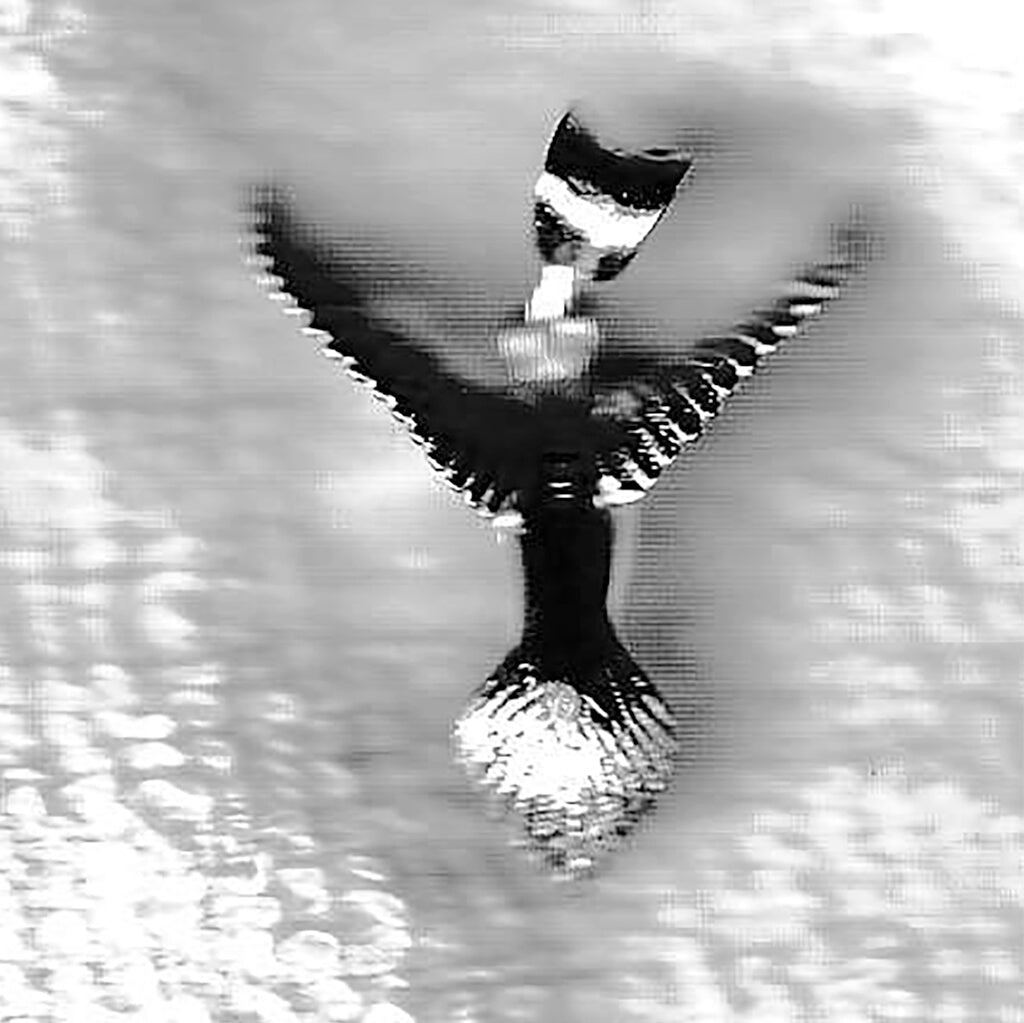 Ten Sterling Silver Dove Pendants – Large