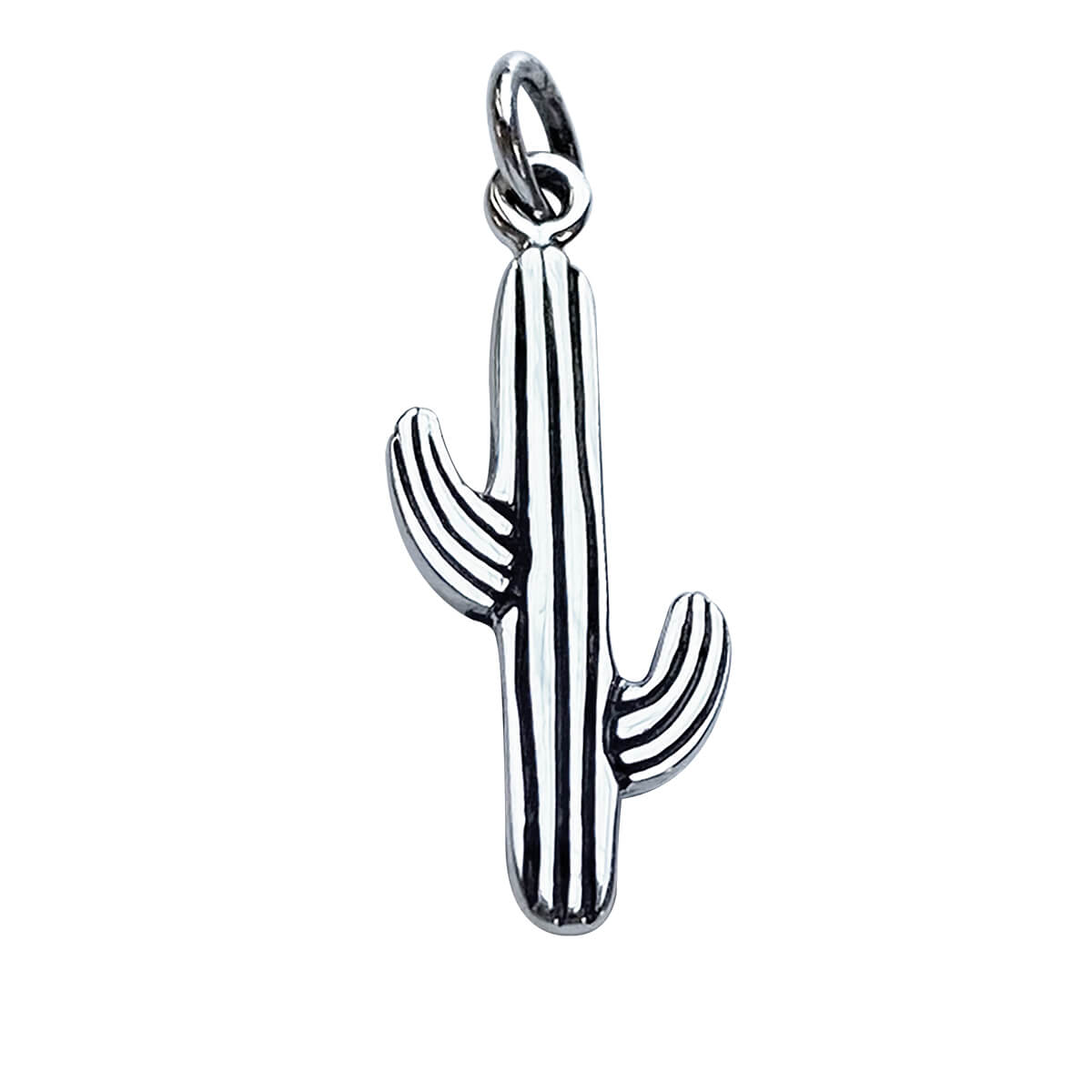 Sterling silver cactus saguaro charm