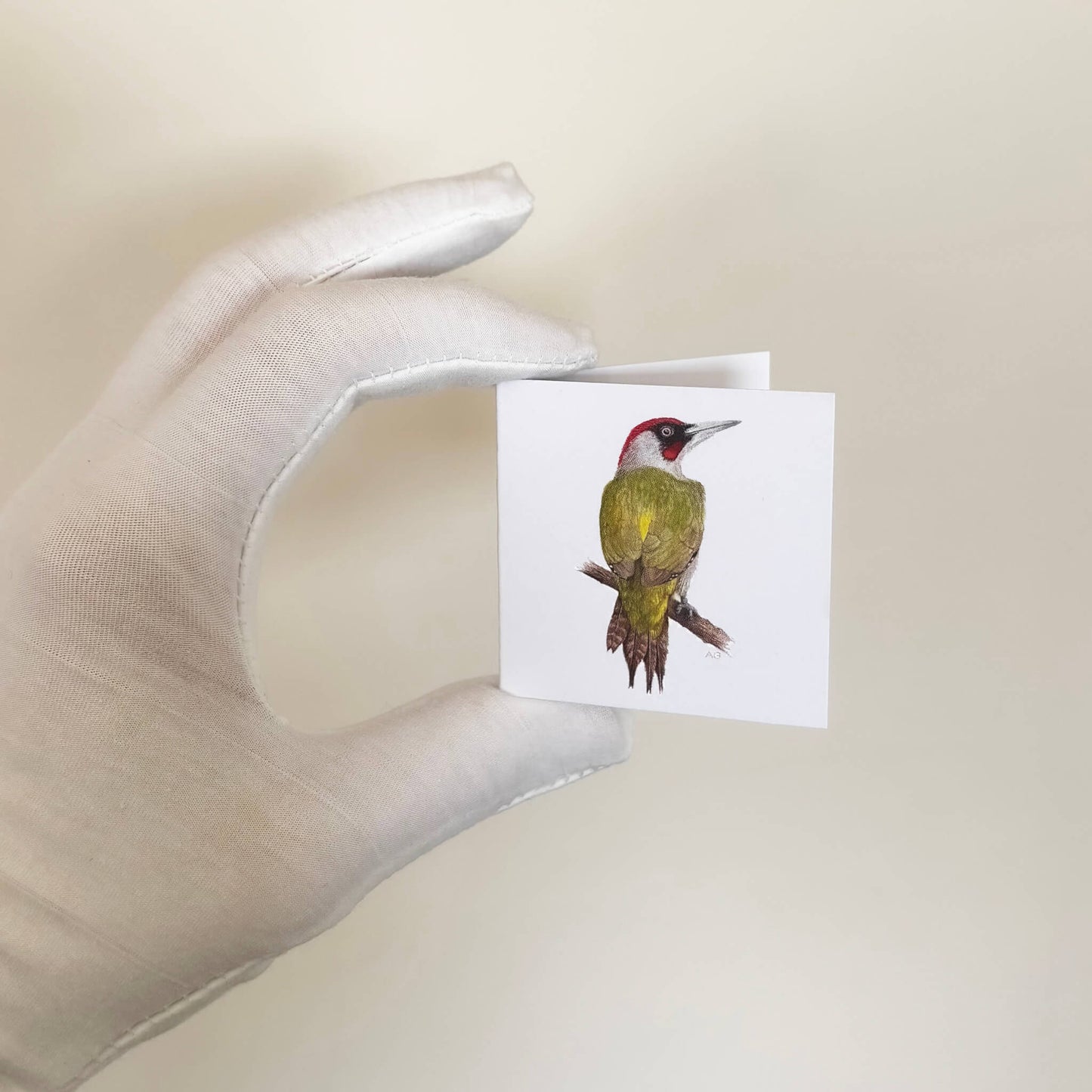Hand holding a card with a bird illustration against a beige background