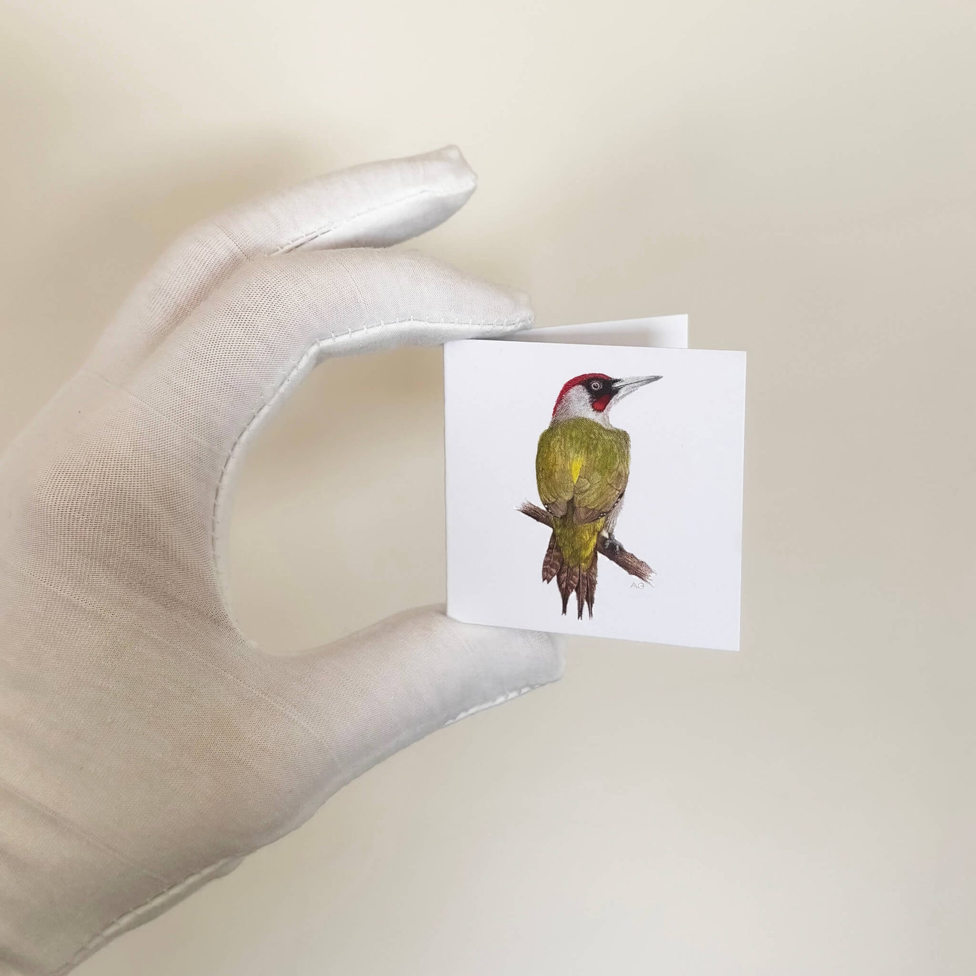 Hand holding a card with a bird illustration against a beige background