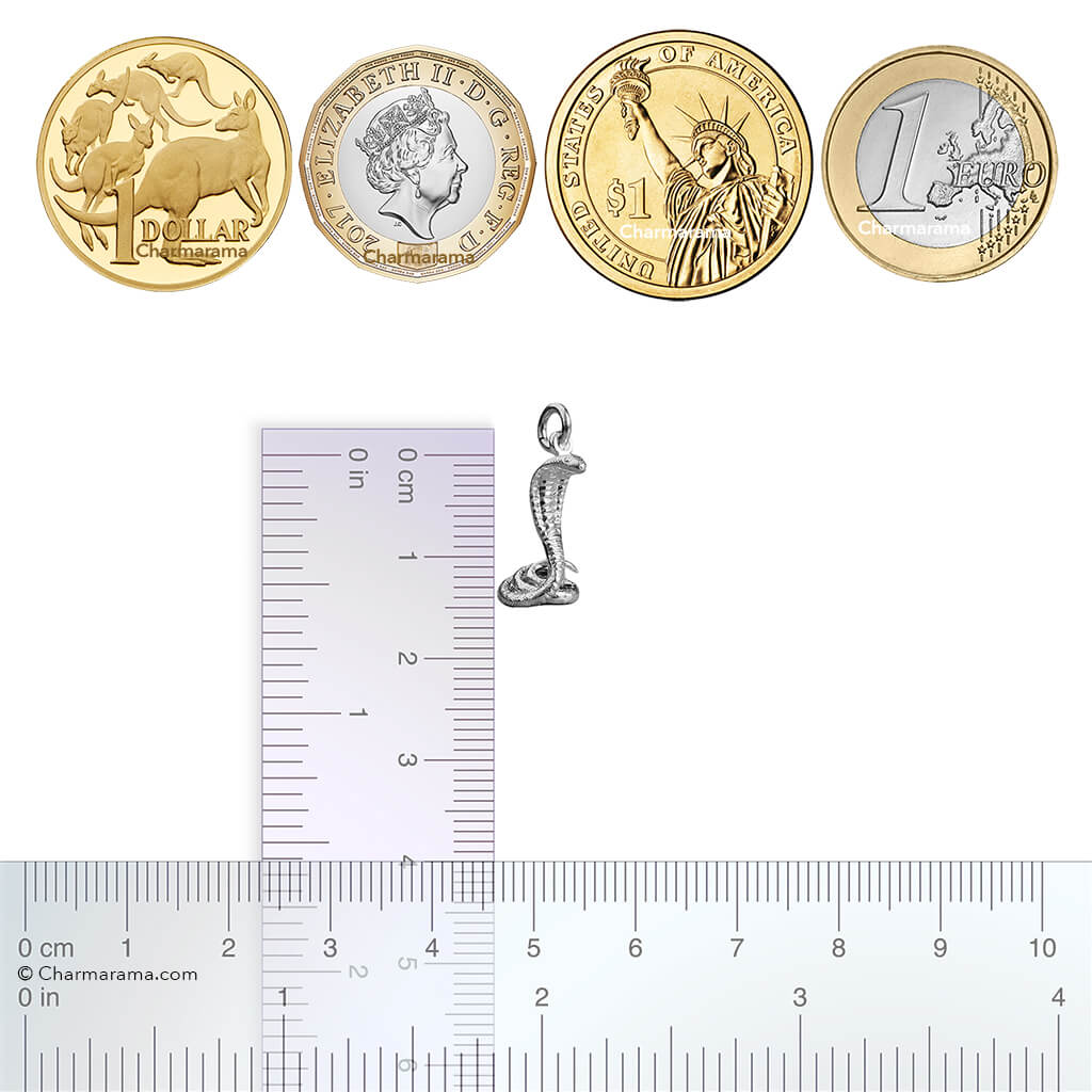 Sterling silver cobra snake charm with coins and ruler for scale on white background