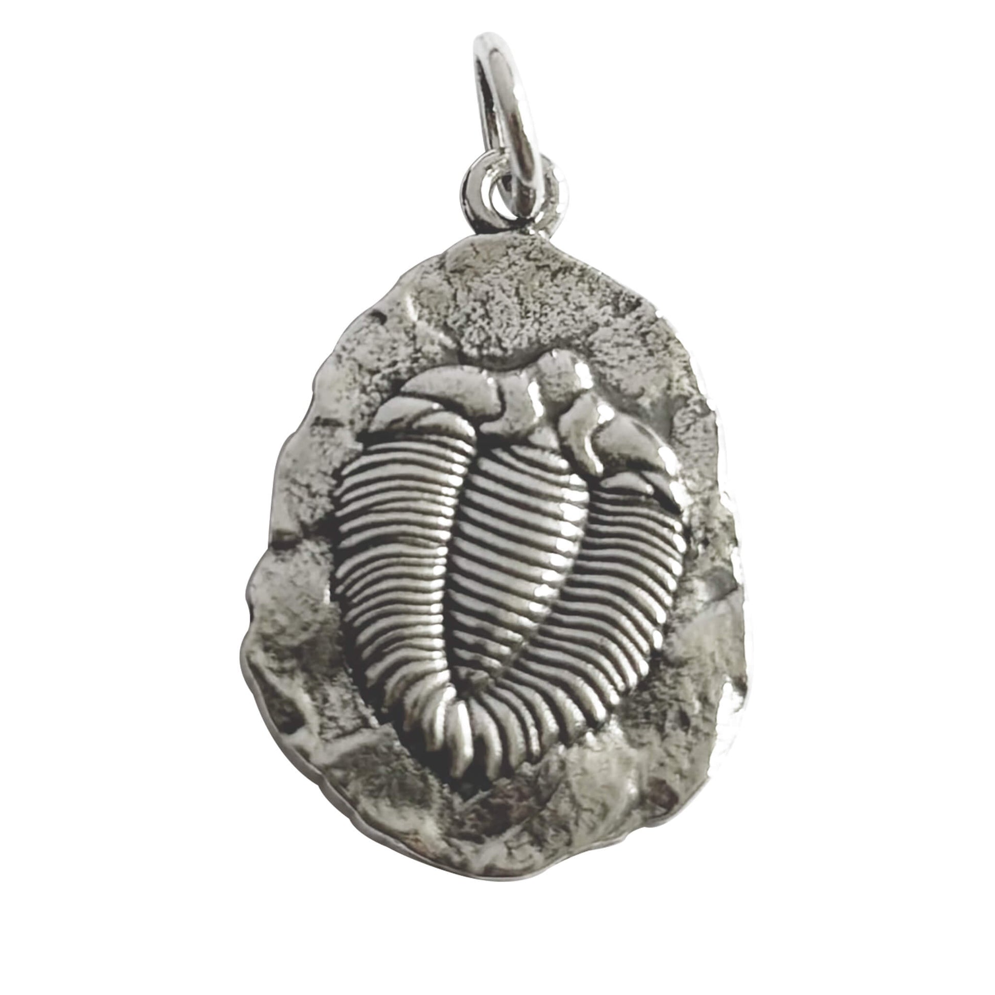 Sterling silver trilobite fossil charm