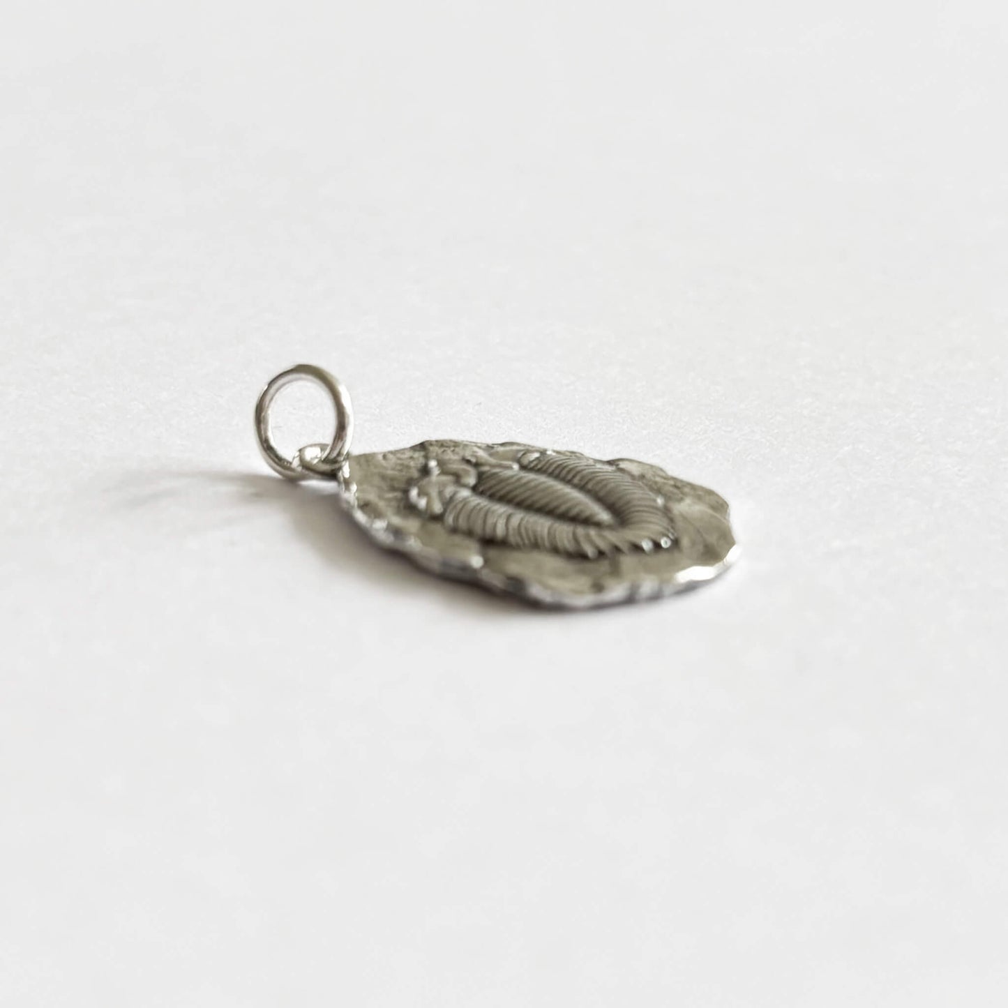 Sterling silver trilobite fossil pendant