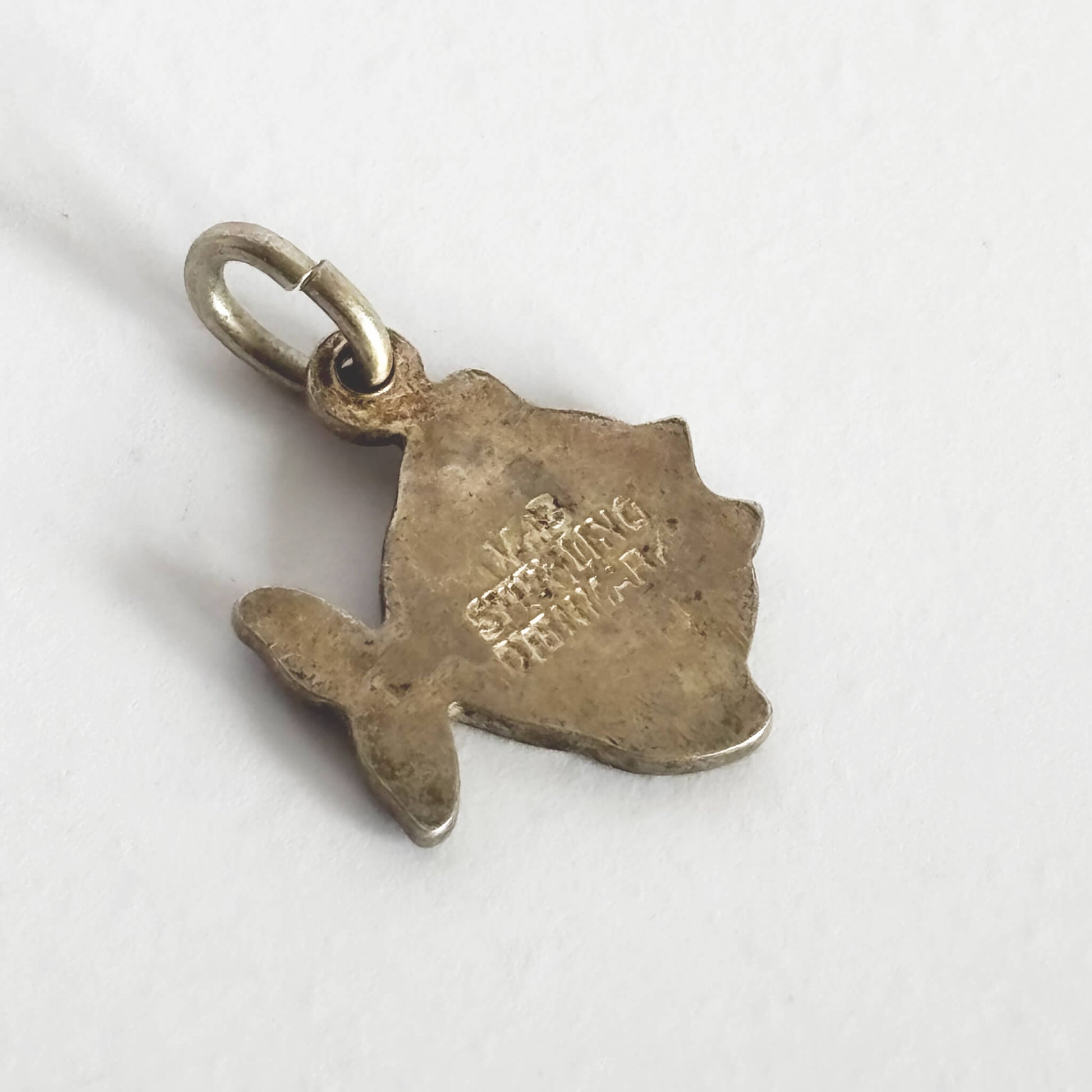 Silver fish-shaped pendant with engraved text on a white background