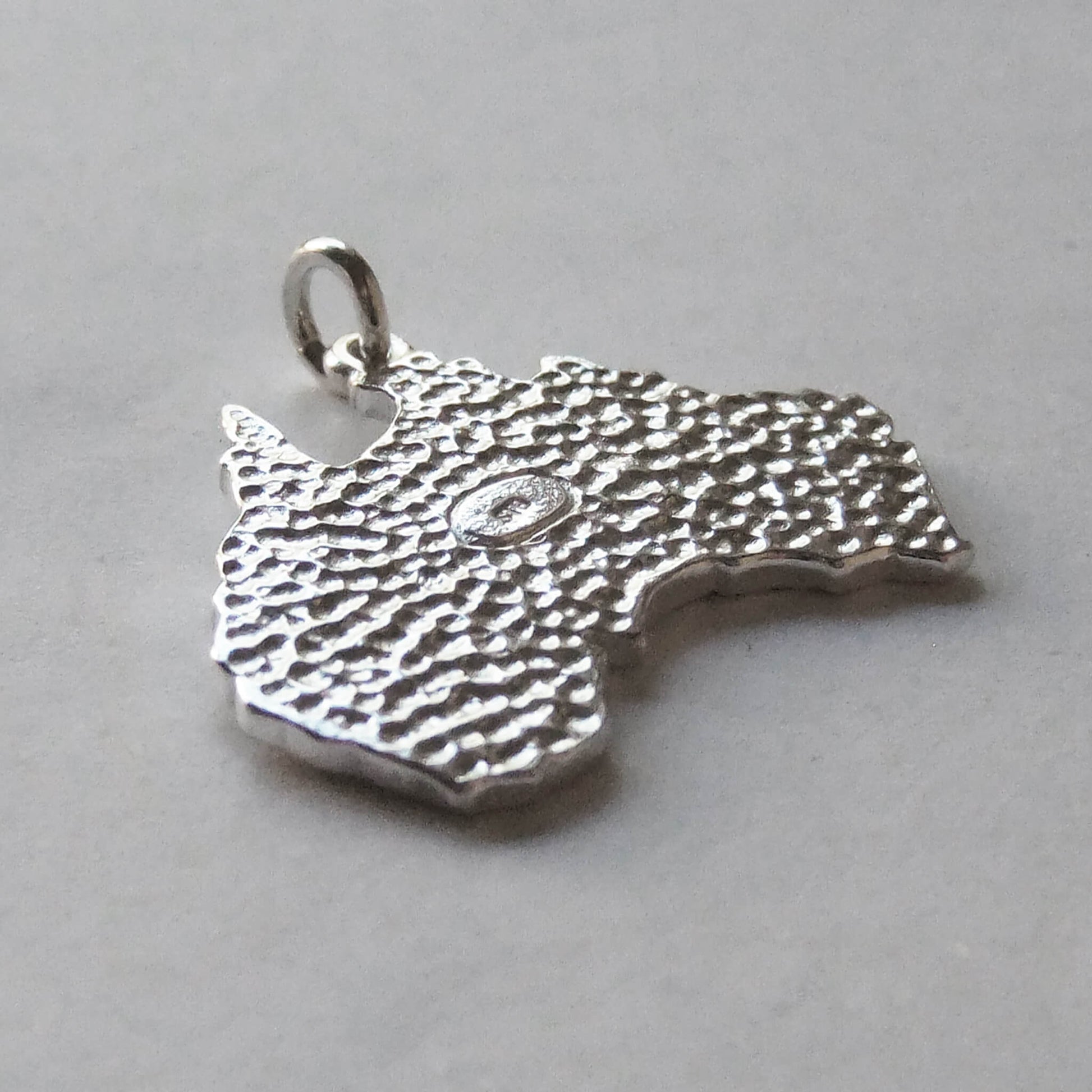 Sterling silver map of Aussie back
