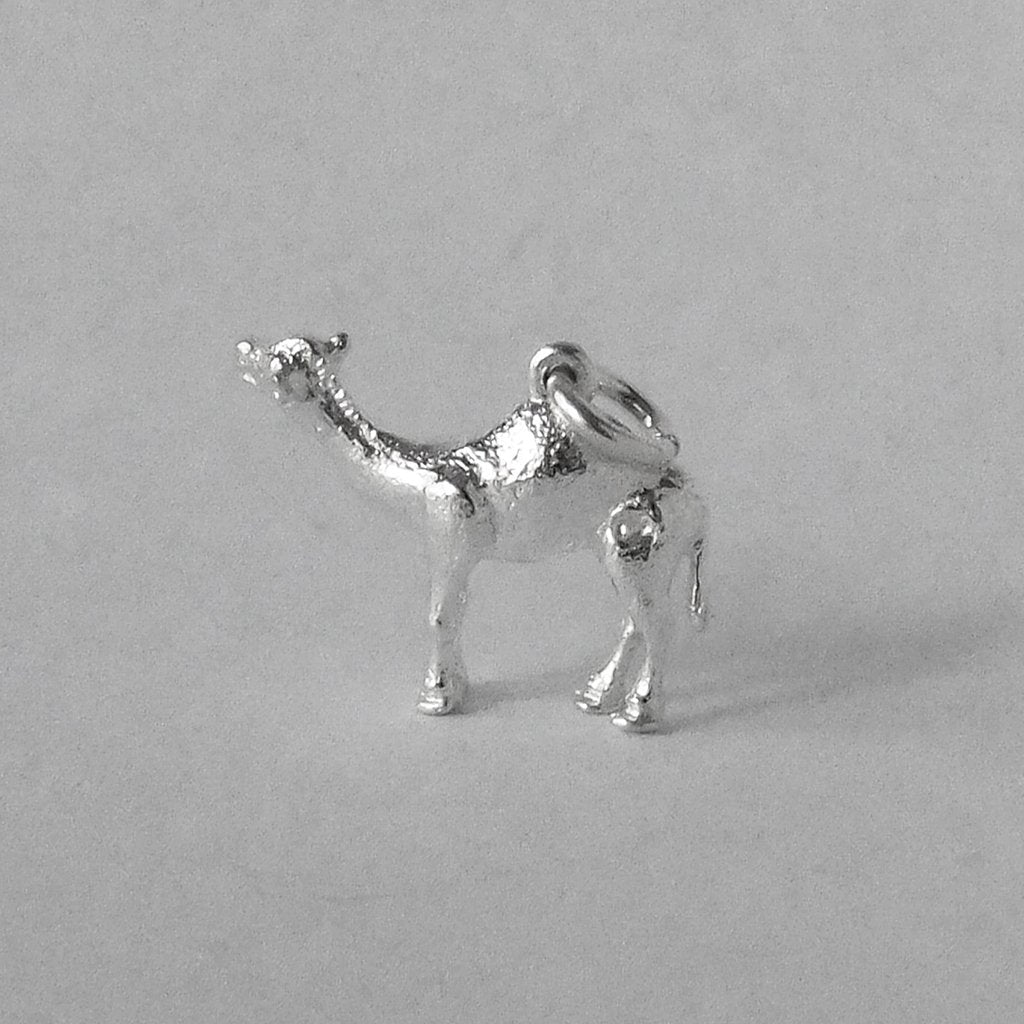 Silver camel charm on a grey background