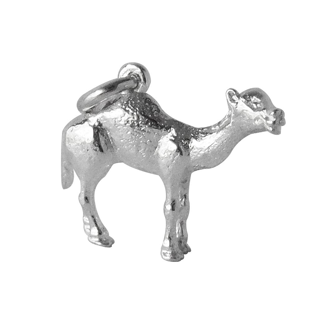 Silver camel charm on a white background