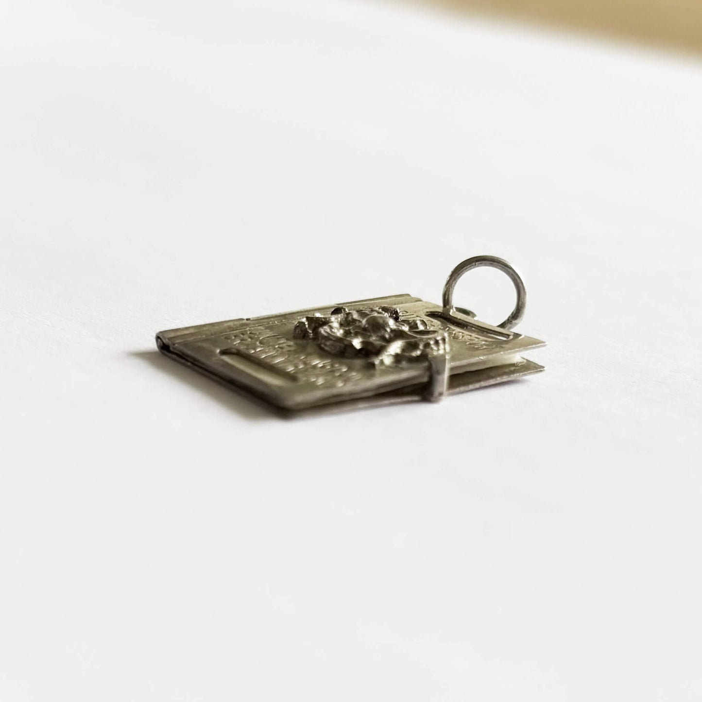 silver passport pendant with a ring on a white background