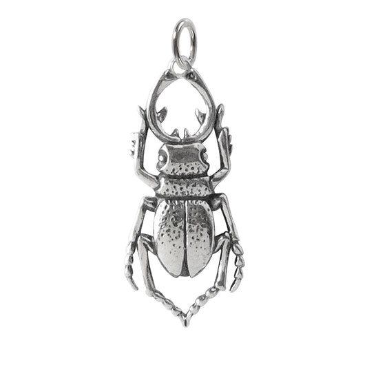 stag beetle charm