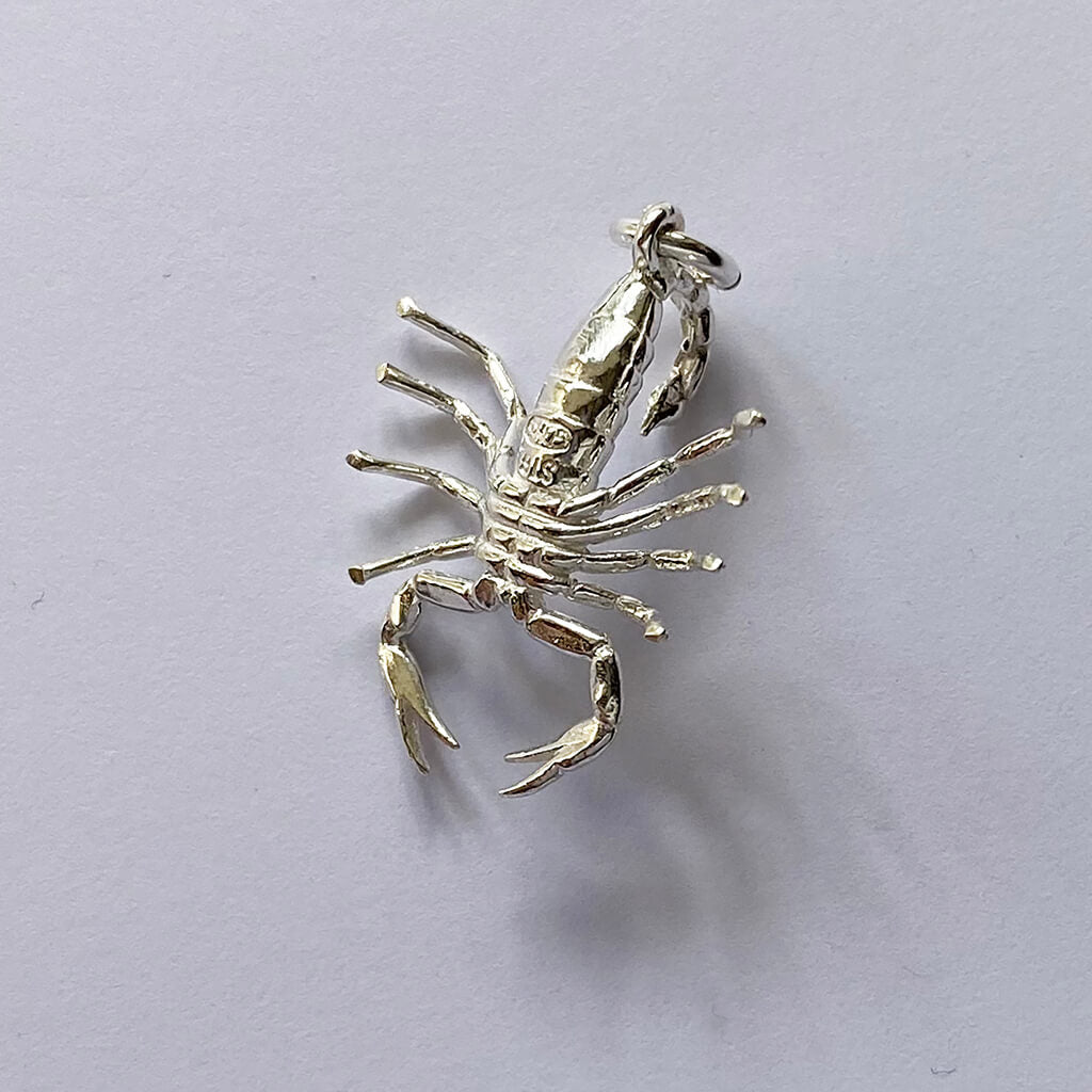 zodiac scorpio the scorpion charm