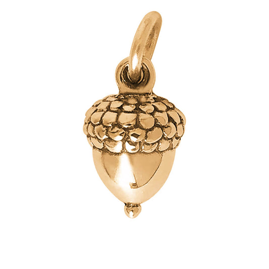 Acorn charm or pendant 3D solid bronze