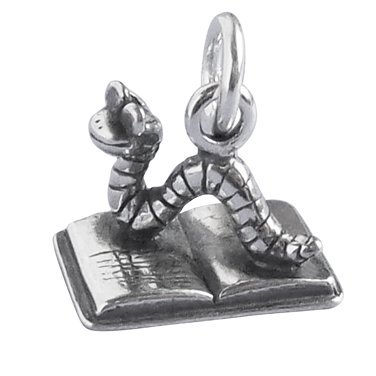 bookworm charm