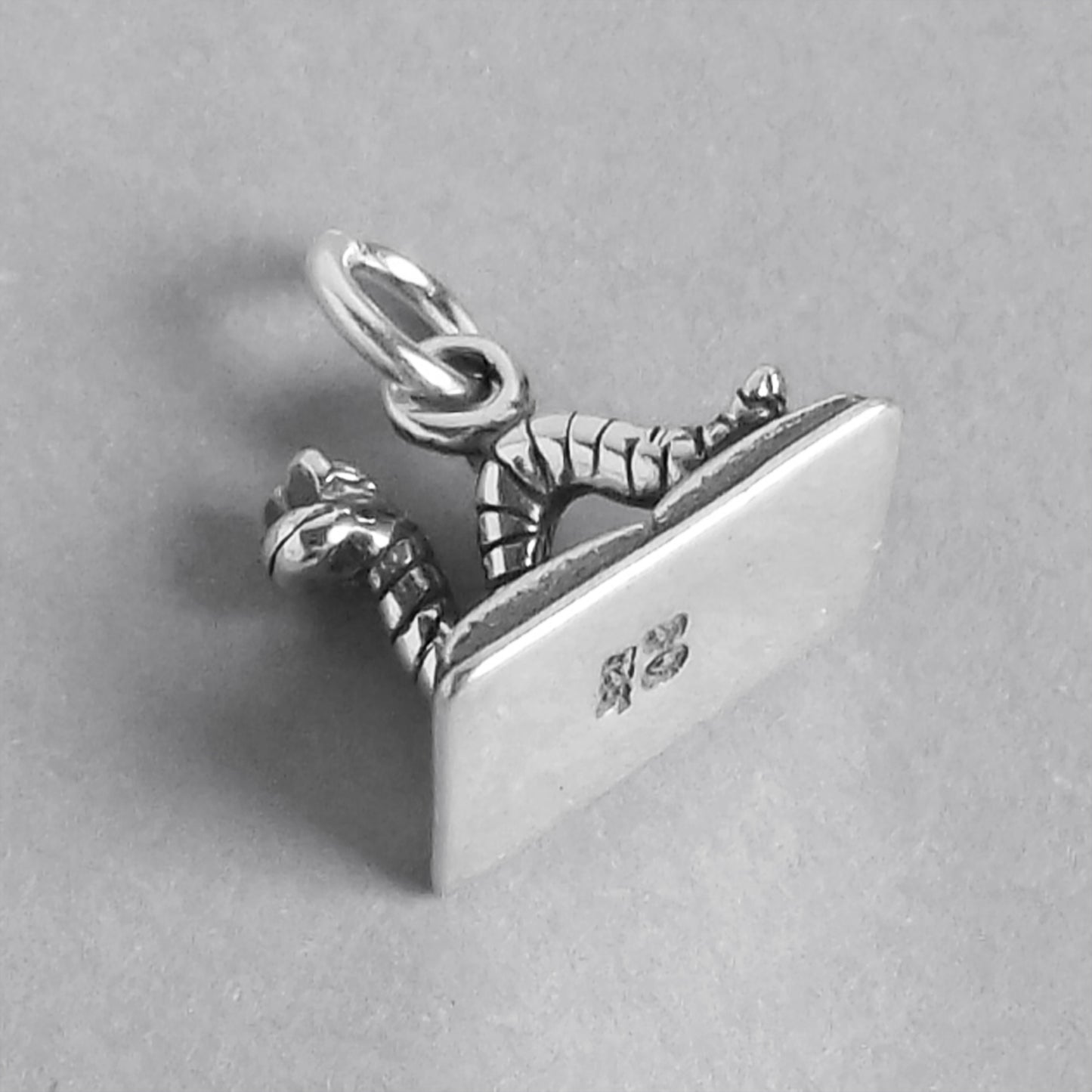 bookworm charm