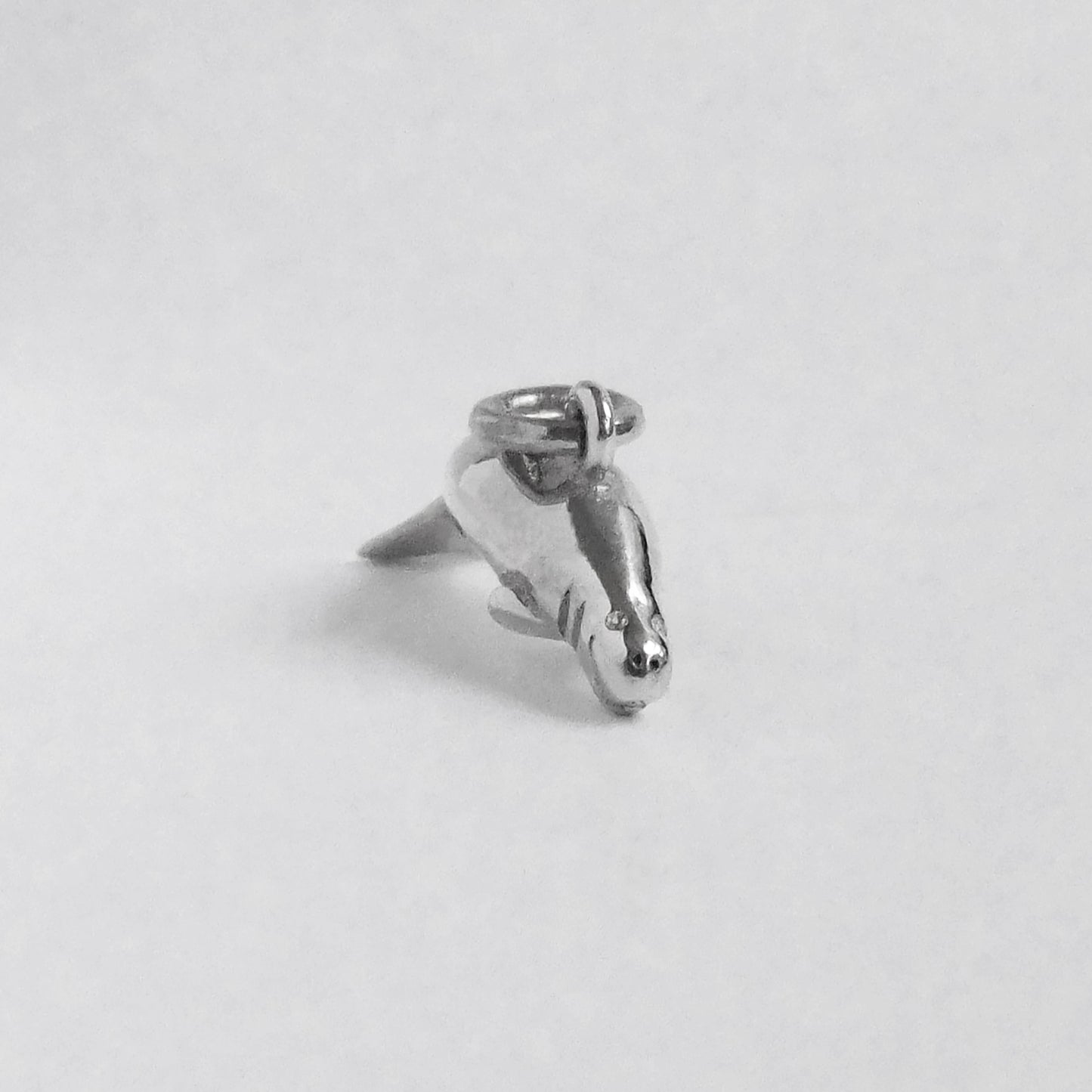 dugong charm