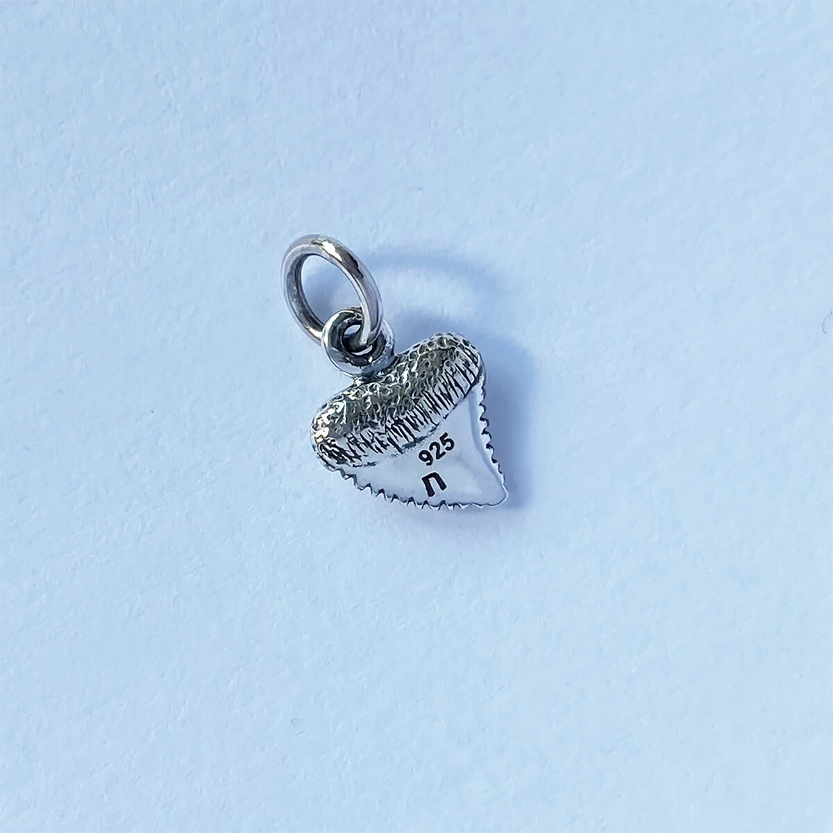 Shark tooth charm sterling silver small pendant