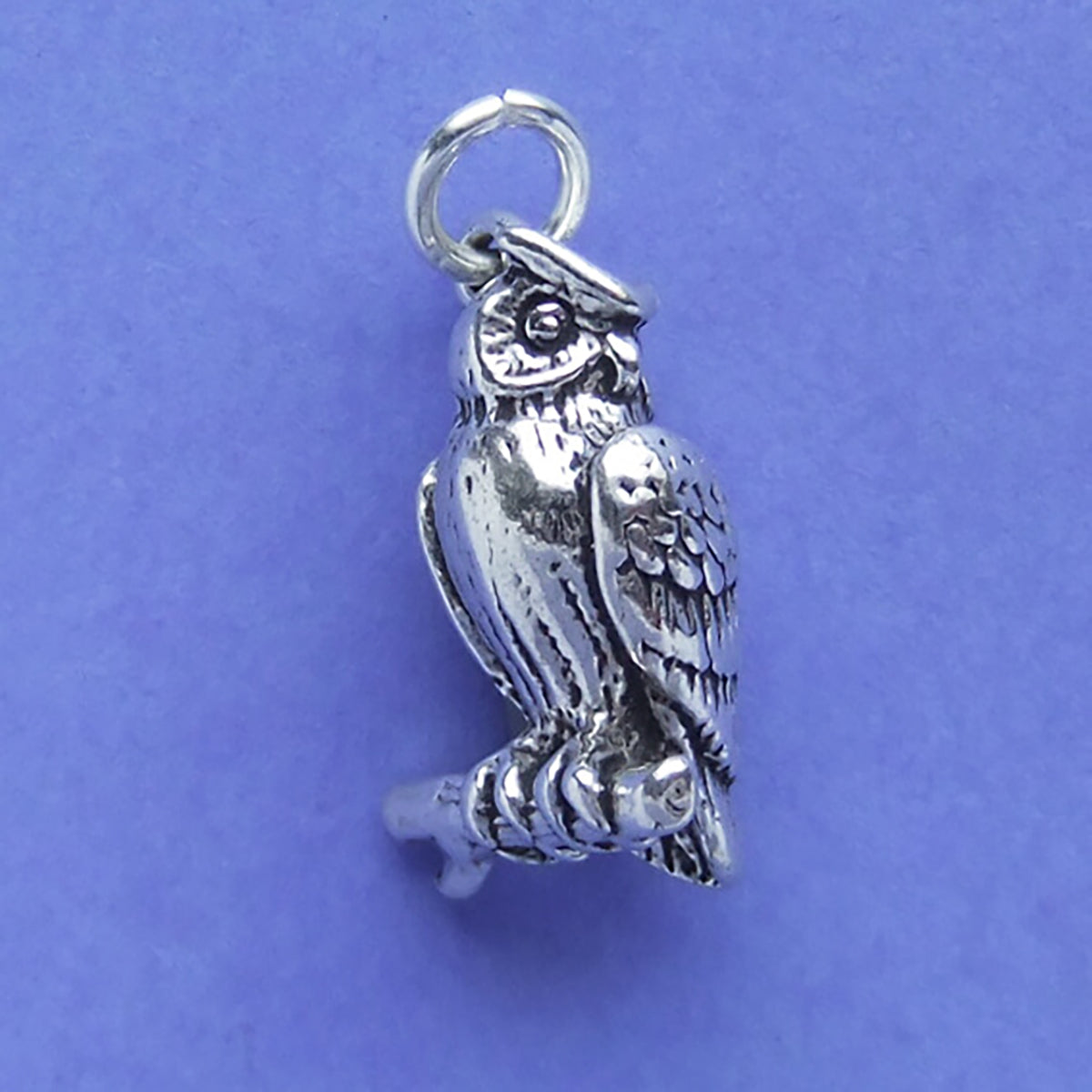 Sterling silver eagle owl charm on a purple background