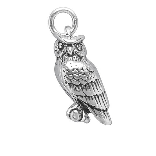 Sterling silver eagle owl charm on a white background