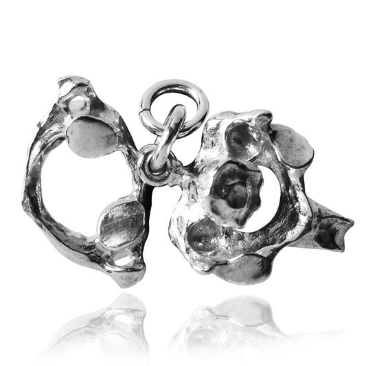 atlas and axis bones charm on a white background