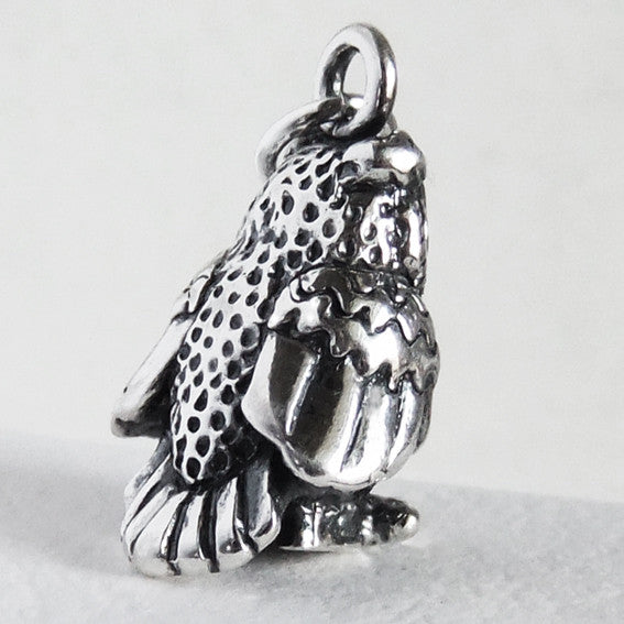 Sterling Silver Owl Bird Charm Pendant