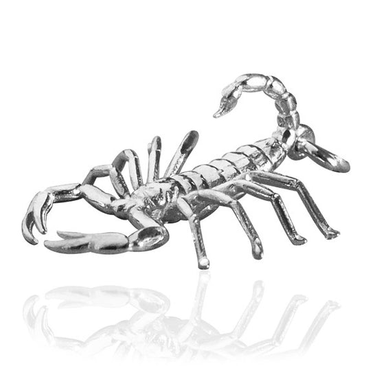 zodiac scorpio the scorpion charm