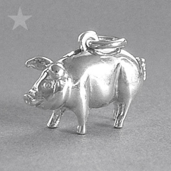 Piggy Bank Money Box Charm Pendant
