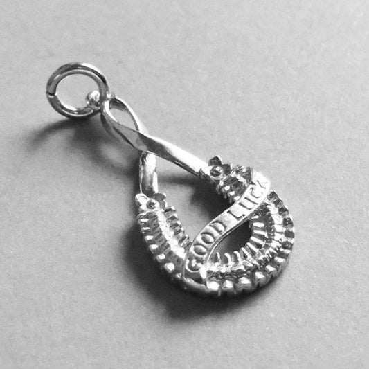 a silver good luck bridal horseshoe charm on a grey background