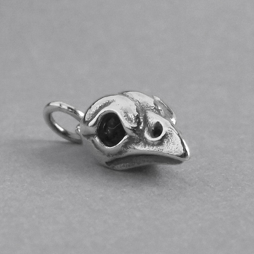 silver bird skull charm
