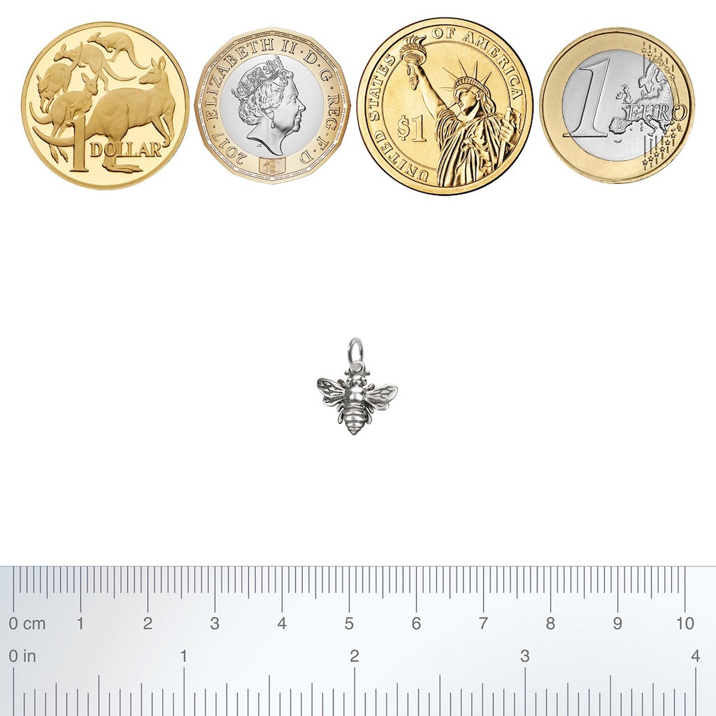 bee charm size guid with coins and ruler
