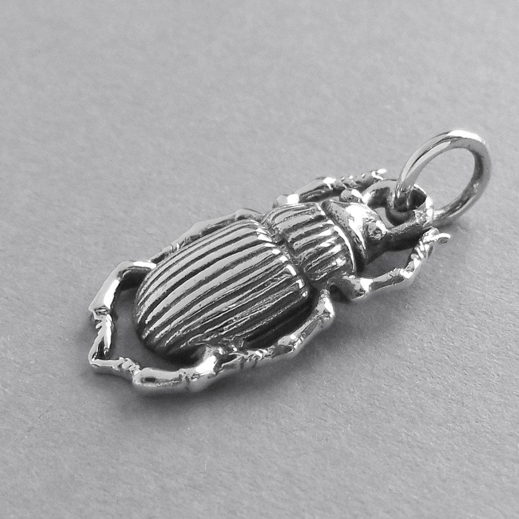 silver beetle insect charm