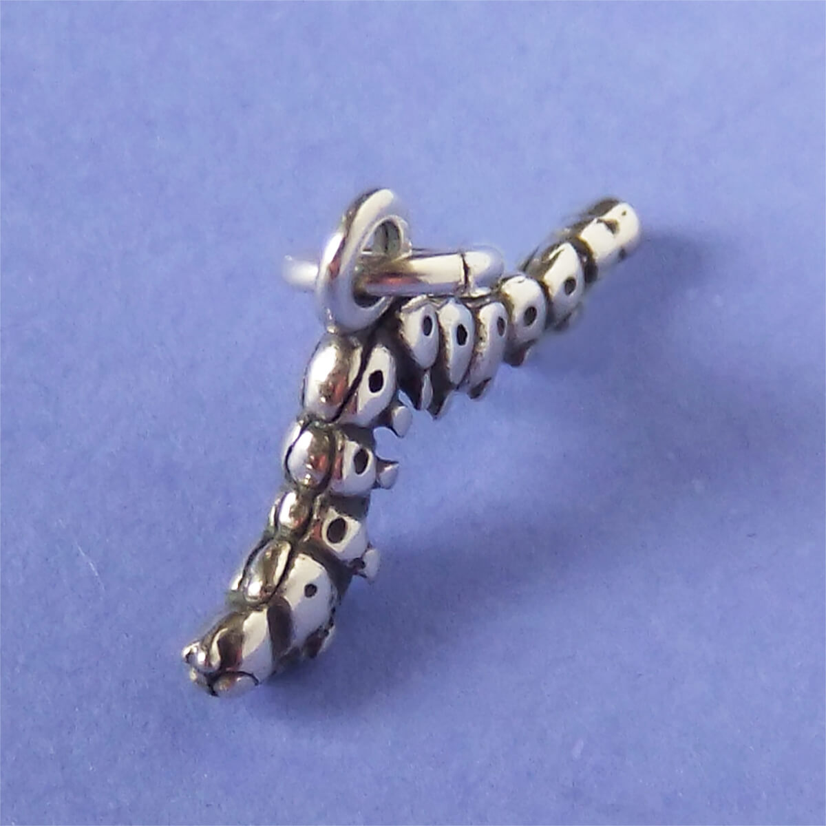 silver inch worm charm on purple background